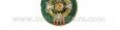 Pin smaltato Cavaliere OMRI 