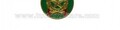 Distintivo Repubblica Italiana