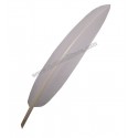 Penna Bianca Cappello Alpino
