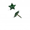 Stella in Metallo Verde a 5 Punte a Piccaglia