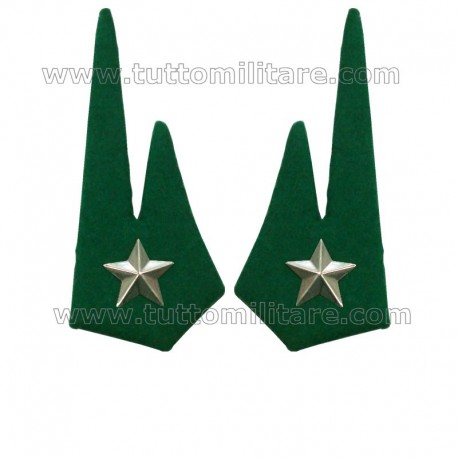 Mostrine in Panno Verde Alpini