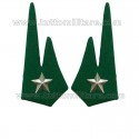 Mostrine in Panno Verde Alpini