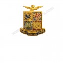 Distintivo Pin Araldico Aeronautica Militare