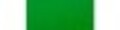 Panno Verde Corpo Forestale 