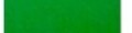 Panno Verde Corpo Forestale 