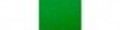 Panno Verde Corpo Forestale 