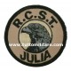 Scudetto Ricamato Omerale Alpini RCST Julia