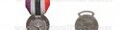 Medaglia Commemorativa Ricerca Scientifica Antartide