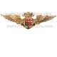 Distintivo Aviazione Navale Marina