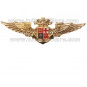 Distintivo Aviazione Navale Marina