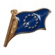 Pin Bandiera UE
