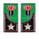 Mostrine Genio Guastatori Alpini