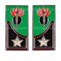 Mostrine Genio Guastatori Alpini