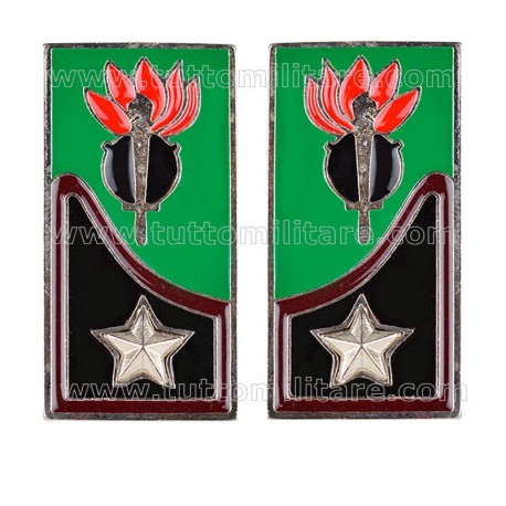 Mostrine Genio Guastatori Alpini