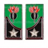Mostrine Genio Guastatori Alpini