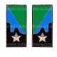 Mostrine Battaglione Logistico Alpini