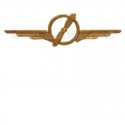 Distintivo Categoria Costruzioni Aeronautiche AM