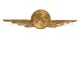 Distintivo Categoria Controllo Spazio Aereo