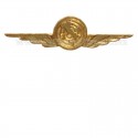 Distintivo Categoria Controllo Spazio Aereo