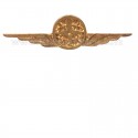 Distintivo Categoria Supporto Logistico Aeronautica