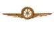 Distintivo Categoria Motorizzazione AM