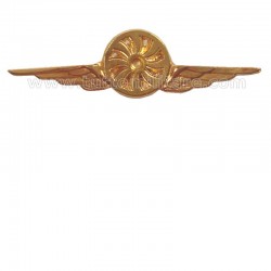 Distintivo Categoria Fotografo Aeronautica