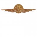 Distintivo Categoria Fotografo Aeronautica