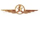 Distintivo Categoria Armamento Aeronautica
