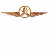 Distintivo Categoria Armamento Aeronautica