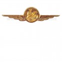 Distintivo Categoria Infrastrutture Aeronautica