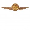 Distintivo Categoria Infrastrutture Aeronautica