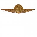 Distintivo Categoria Equipaggi Volo Aeronautica