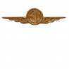 Distintivo Categoria Equipaggi Volo Aeronautica