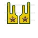Mostrine Generale Guardia di Finanza