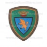 Scudetto Plastica Taurinense