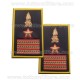 Tubolari Plastica Luogotenente Guardia di Finanza