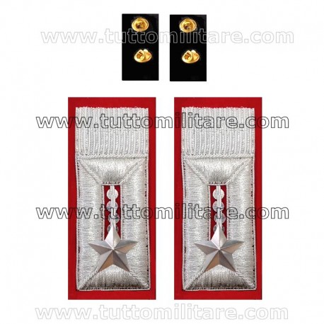 Alamari Ricamati Carabinieri con Stella Clips Posteriori