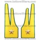 Fiamme Generale Guardia di Finanza