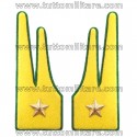 Fiamme Generale Guardia di Finanza