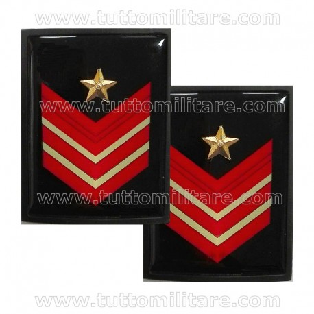 Gradi Metallo Appuntato Scelto Qualifica Speciale Carabinieri