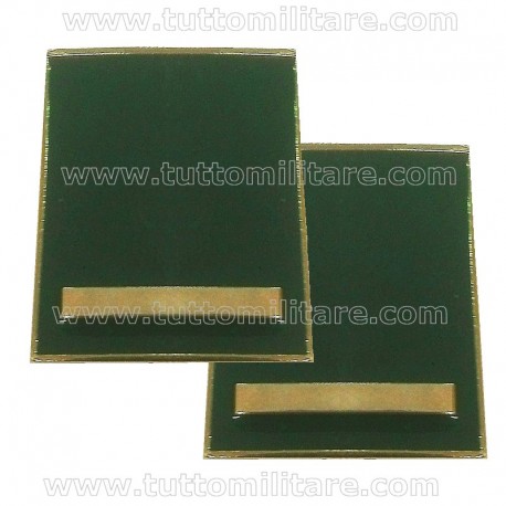Gradi Metallo Vice Sovrintendente Corpo Forestale