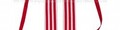 Cavaliere Ordine Merito Santo Sepolcro Gerusalemme