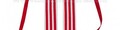 Cavaliere Ordine Merito Santo Sepolcro Gerusalemme