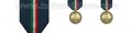 Medaglia Protezione Civile Terza Classe Prima Fascia