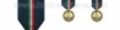 Medaglia Protezione Civile Terza Classe Prima Fascia
