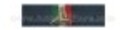 Nastrino Protezione Civile 1° Conferimento  III Livello