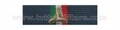 Nastrino Protezione Civile 1° Conferimento  III Livello