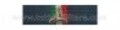 Nastrino Protezione Civile 1° Conferimento  III Livello