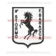 Patch 9° Stormo F. Baracca