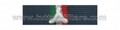 Nastrino Protezione Civile 2° Conferimento 2° Livello